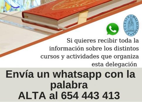 Nueva lista de difusión